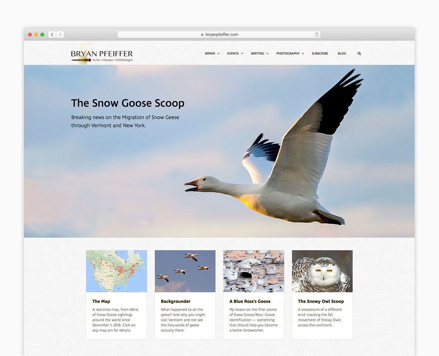Desktop browser version of website for Bryan Pfeiffer