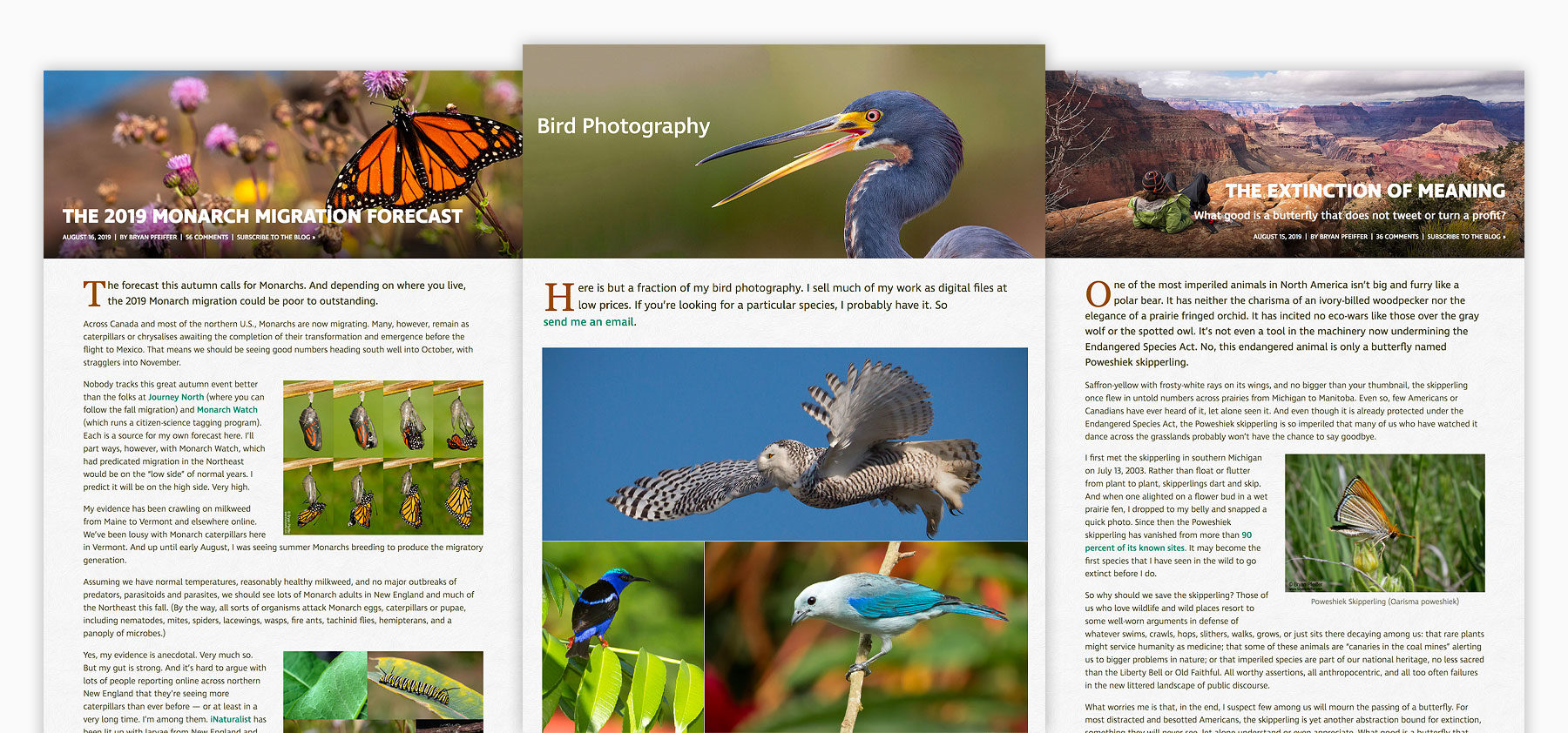 Three responsive website page views for naturalist's website