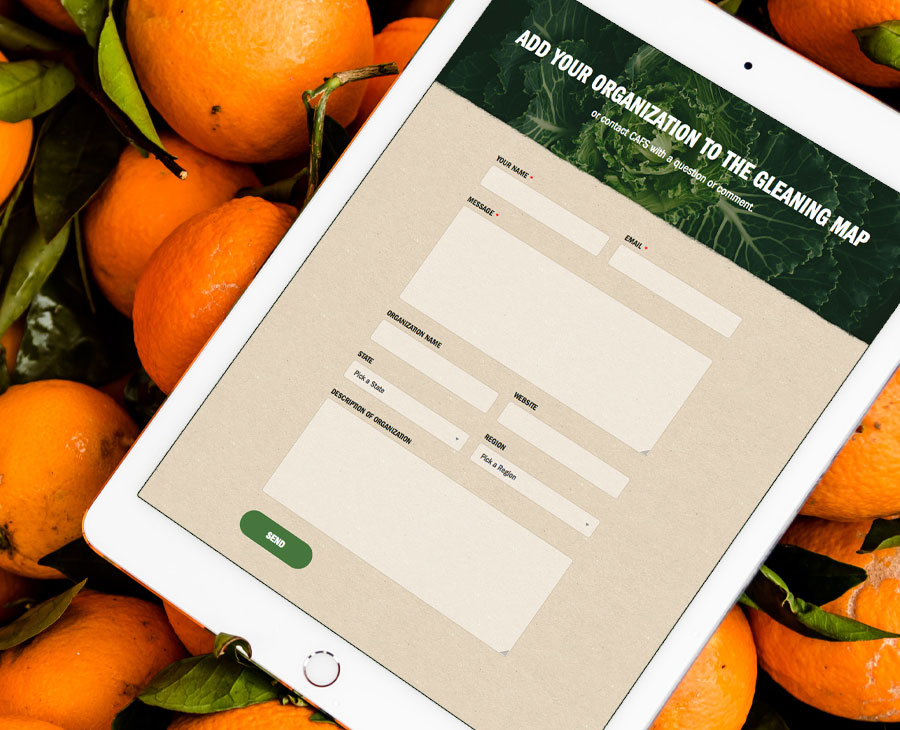 National Gleaning Project website shown on an iPad resting on a pile of oranges