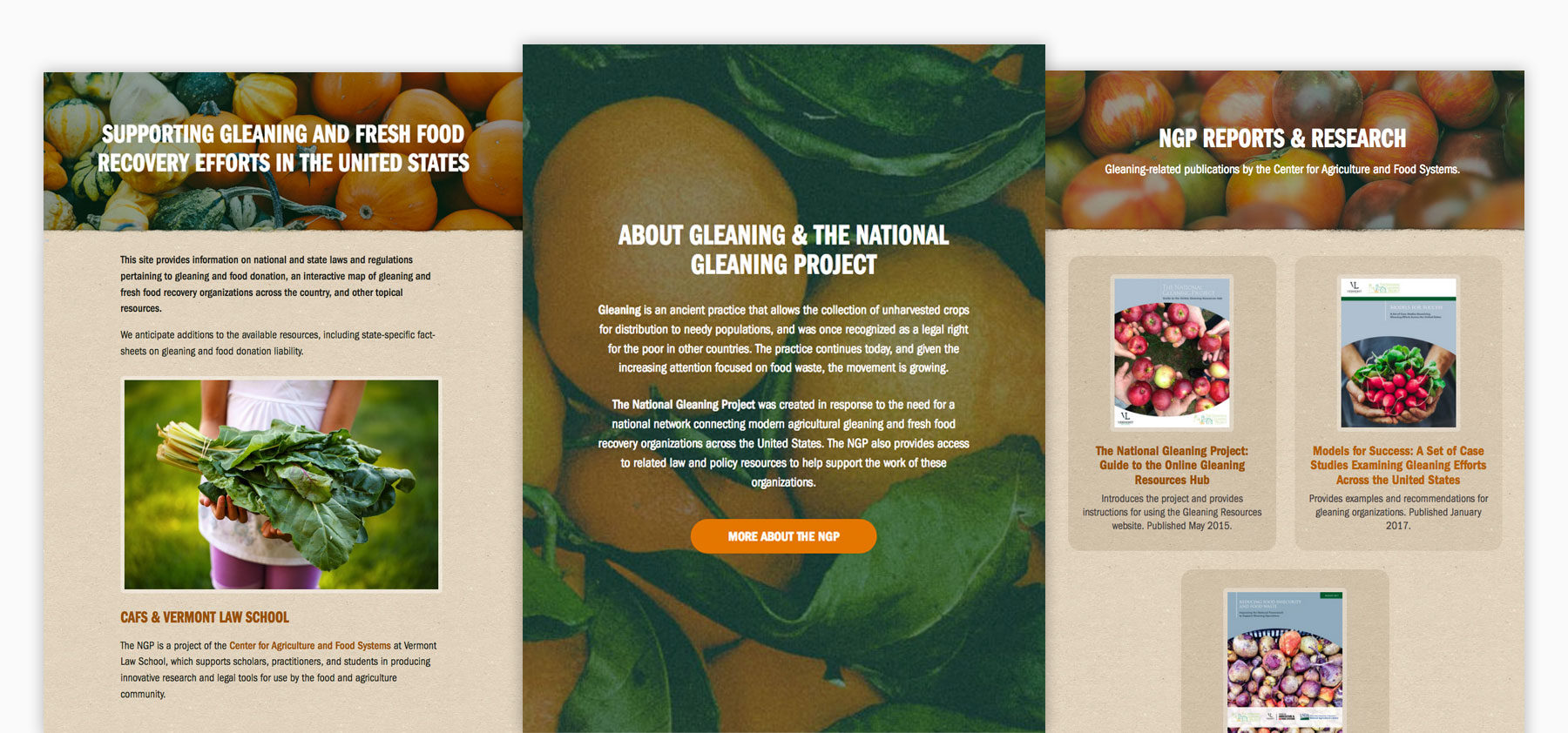 Three different responsive website page views for the National Gleaning Project