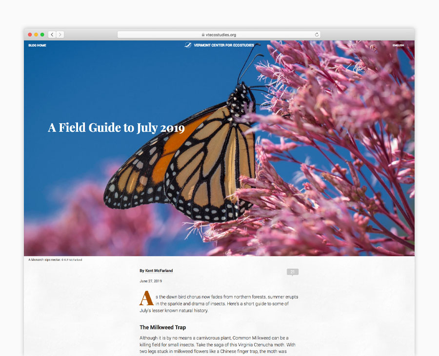 Desktop browser version of Vermont conservation website
