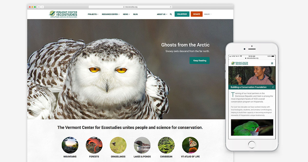 WordPress Website for a Wildlife Conservation Organization