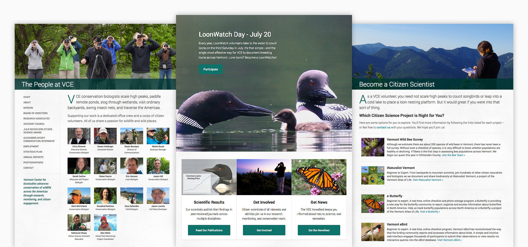Three responsive website page views for the Vermont Center for Ecostudies